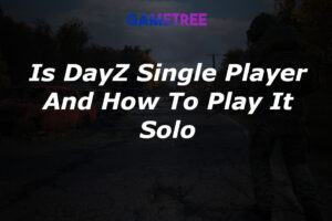 Is DayZ Single Player? Solo & Offline Mode Guide 2025